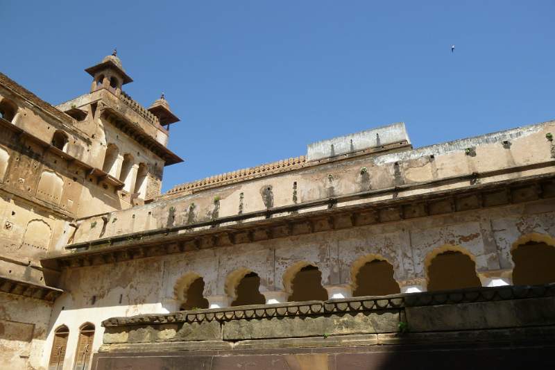 India & Nepal 2011 - 1061